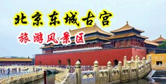 操日本丰满成熟60岁老女人逼中国北京-东城古宫旅游风景区